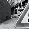 21_cane_veneziano